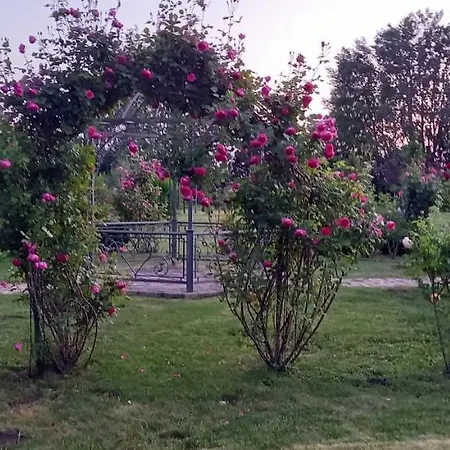 Salas Dordevic Gostinjska kuća